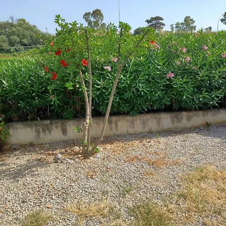 Residence Agave Buonfornello